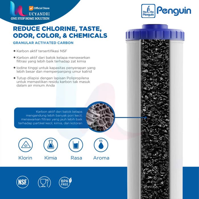 paket filter air penguin pbf 10 cto gac spesifikasi filter air penguin catridge gac 10 inch